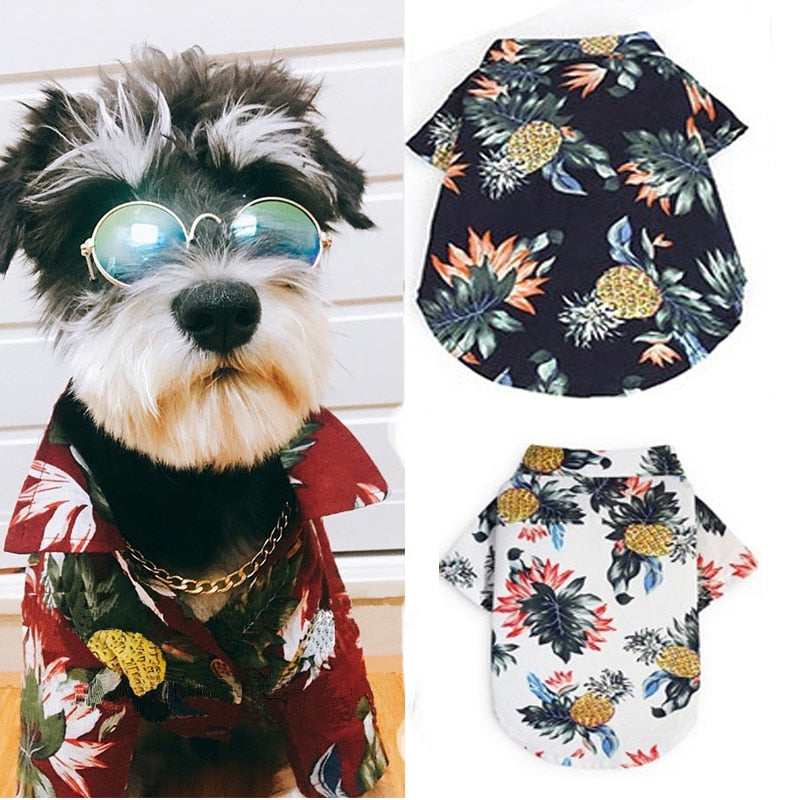 Camiseta Verão Pet - FRETE GRÁTIS - Picuí Magazine